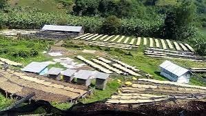 Plantation SOPACDI