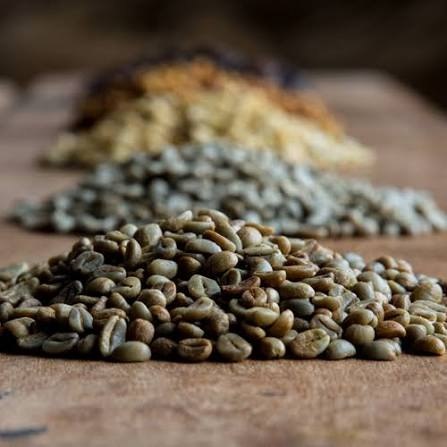 Café Femmes SOPACDI : Une Prime au Service de l’Émancipation